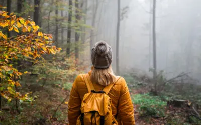 The Seasons of Business: Finding Your Purpose When the Landscape Shifts